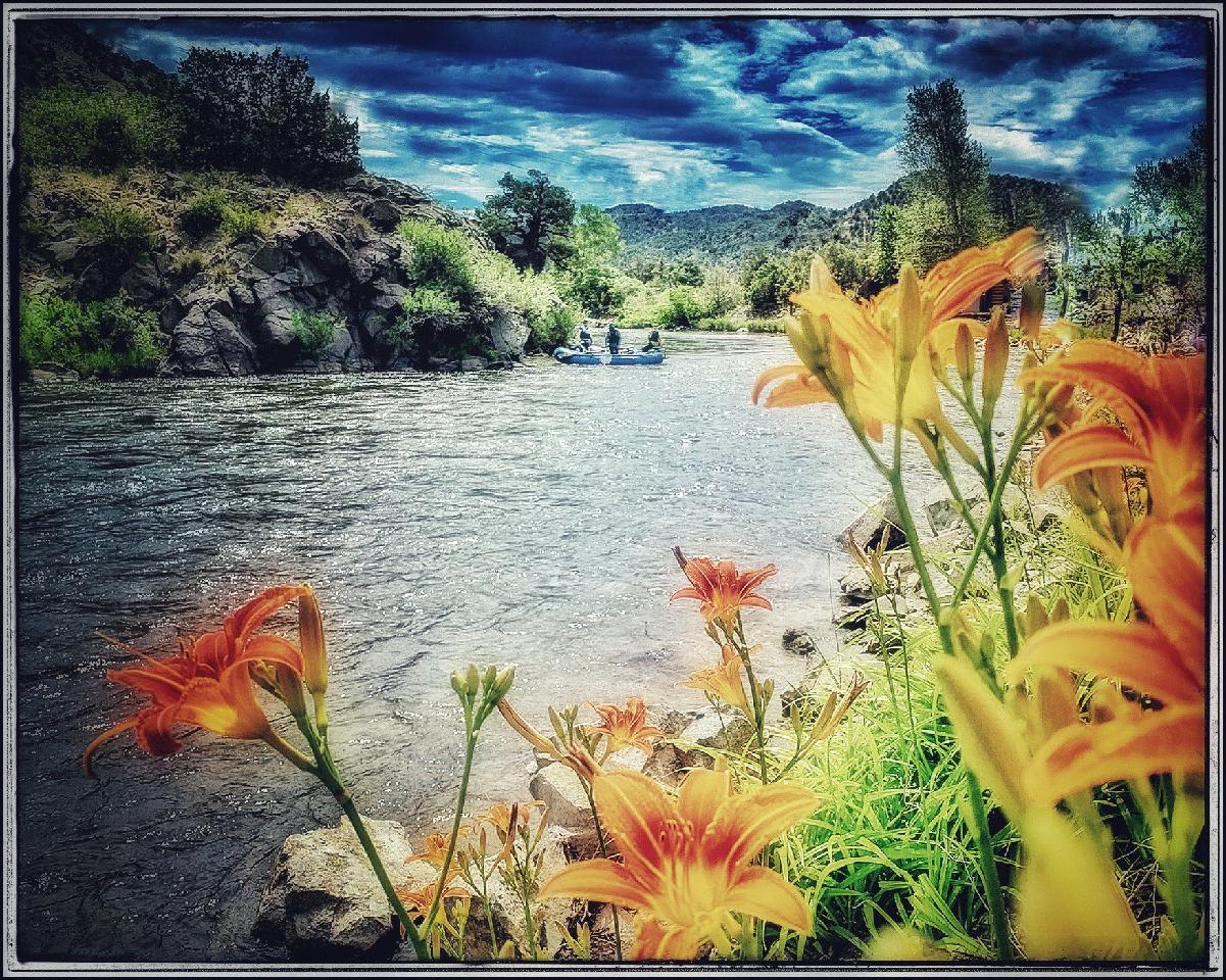 Scofield Flowers River